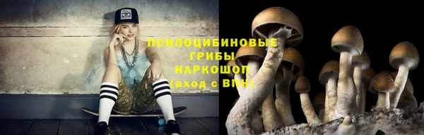 МДМА Карпинск