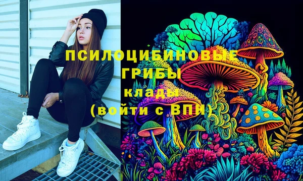 МДМА Карпинск