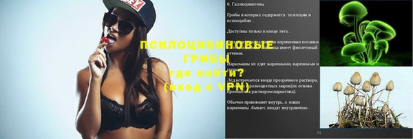 прущая мука Касимов