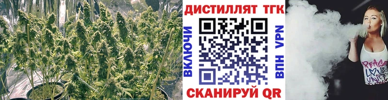 Купить закладки  Полесск  ТГК Wax 