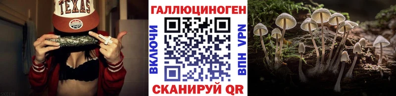 Псилоцибиновые грибы Cubensis  Купить  Полесск 